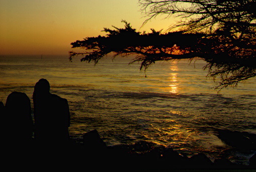 California Coast near Monterey, California