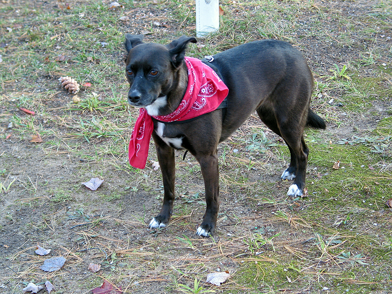 external image turnoffthatnoise.jpg