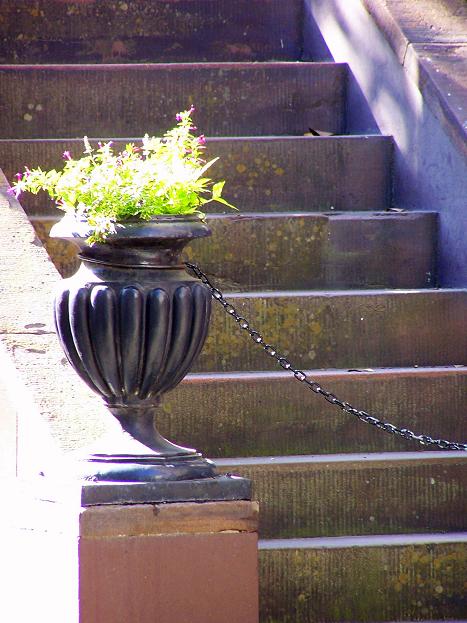 Urn and Sunlight