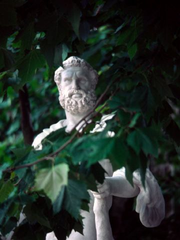 Versailles statue 06