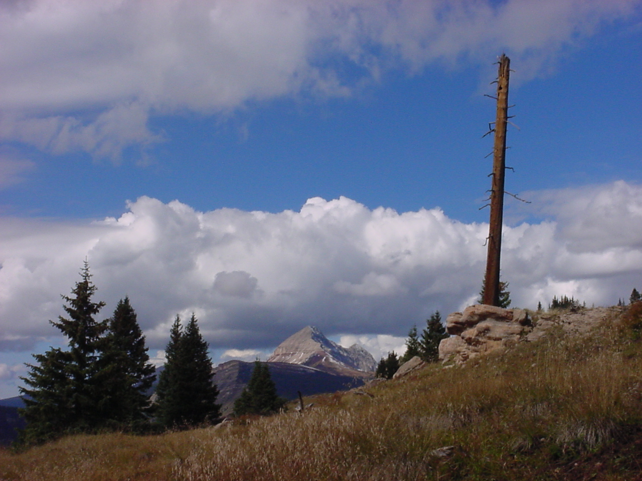View to Engineer Mt