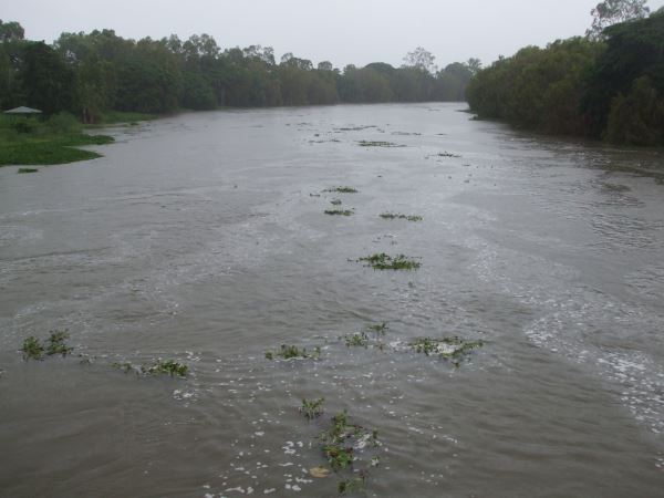 River in flood