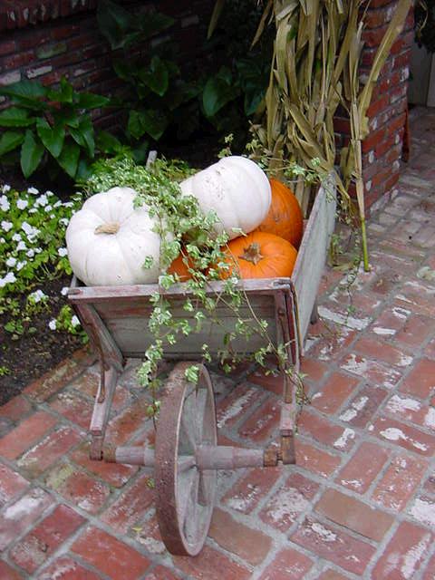 wheelbarrow decor