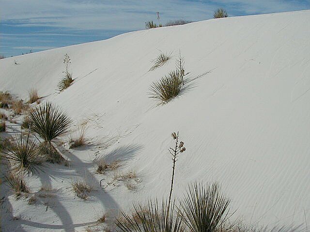 White Sands