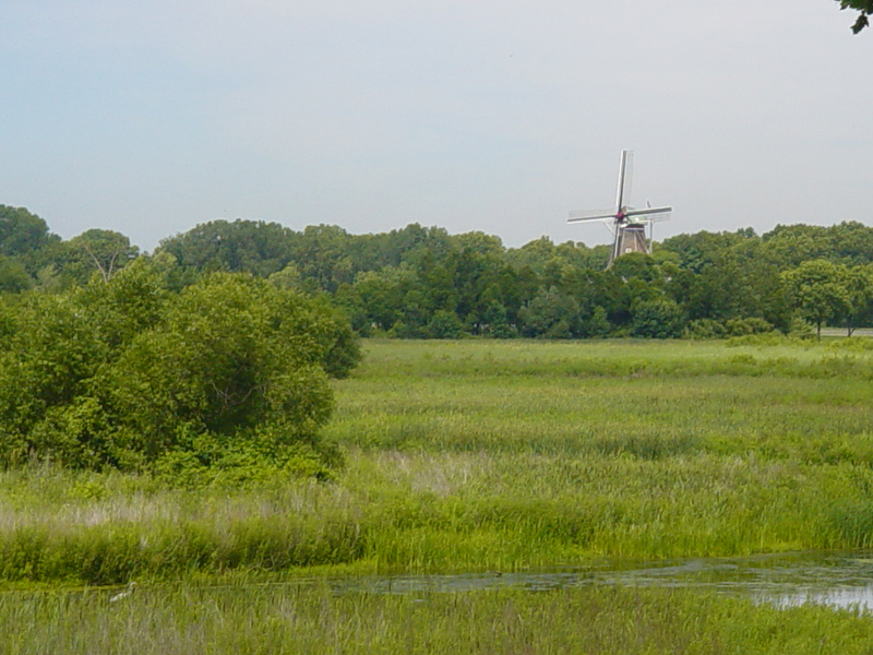 windmillisland2a.jpg