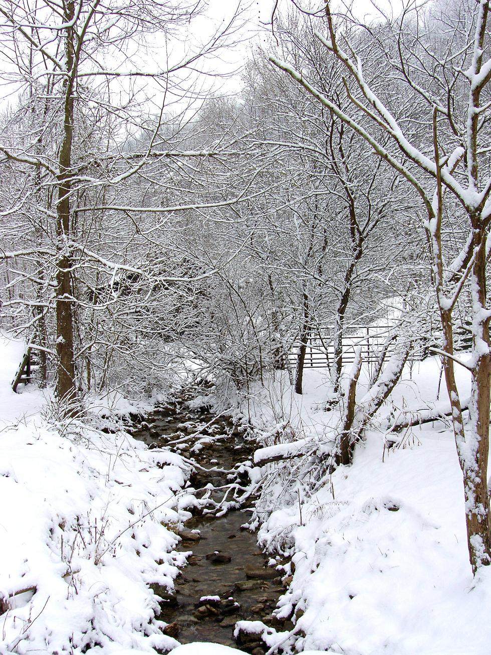 wintercreek.jpg