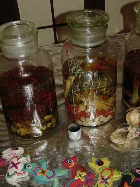 Snake Wine