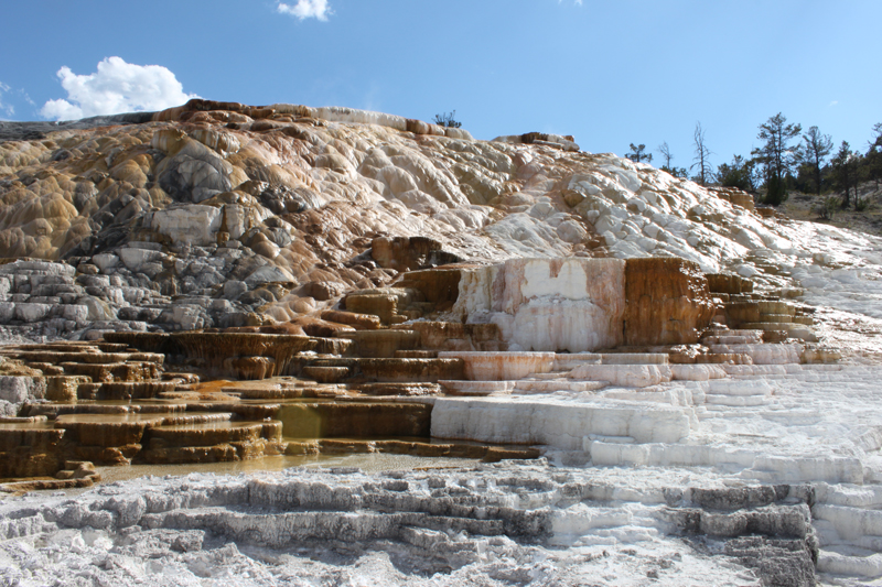 Mammoth Hot Springs