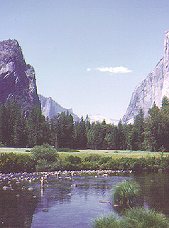 Stream running through Yosemite National Park