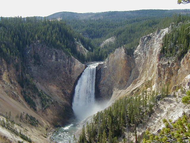 Yellowstone Falls