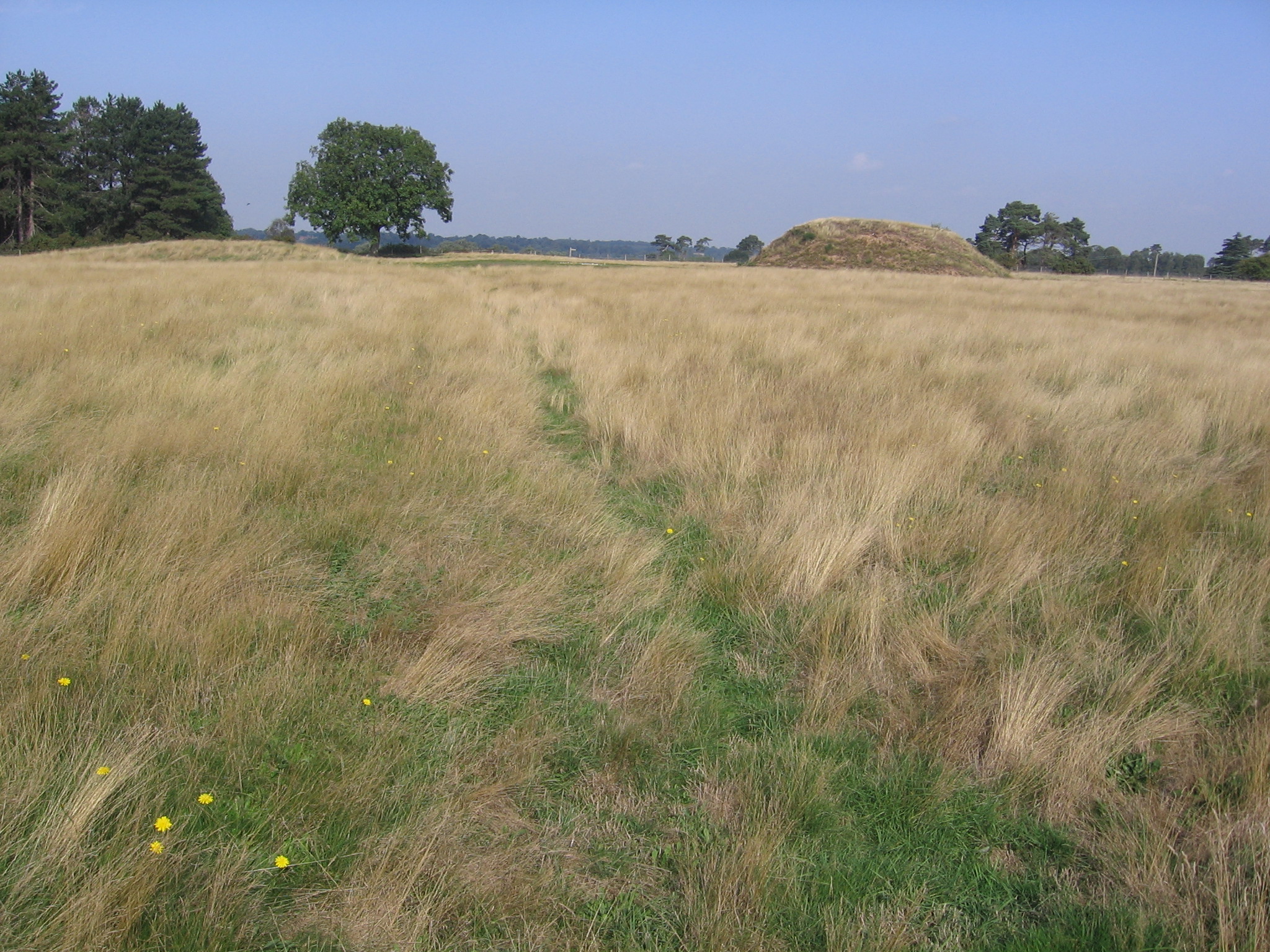 Glider ditch through Sutton Hoo - to prevent German gliders from ...