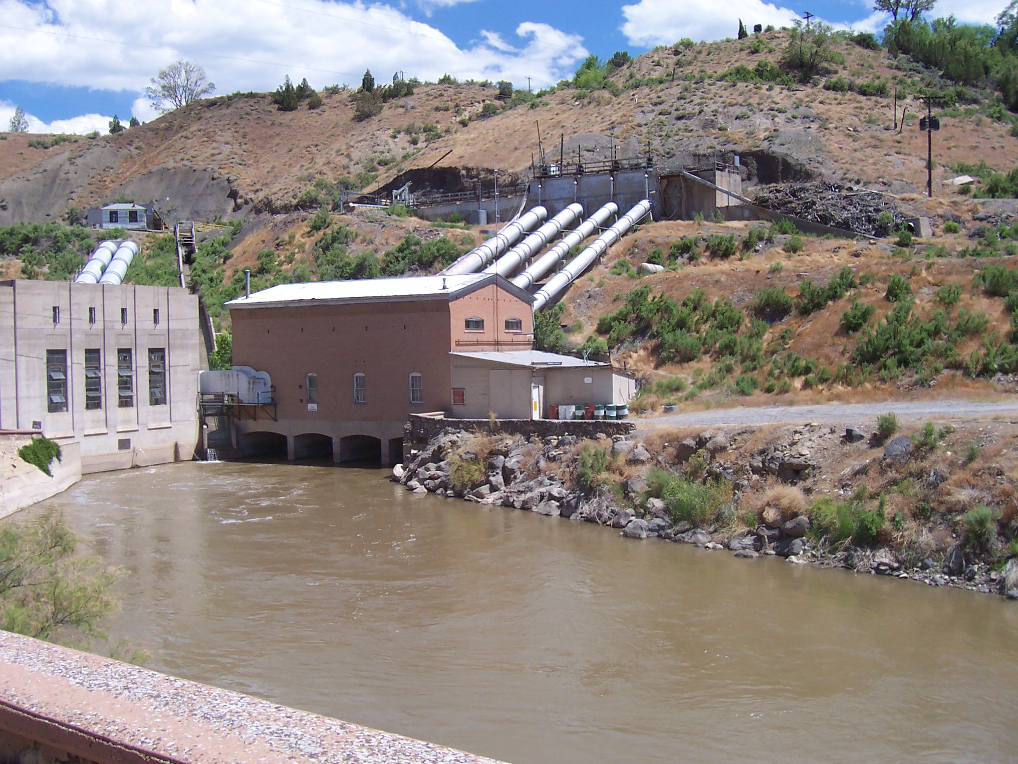 Water Plant Pics4Learning   100 0025 