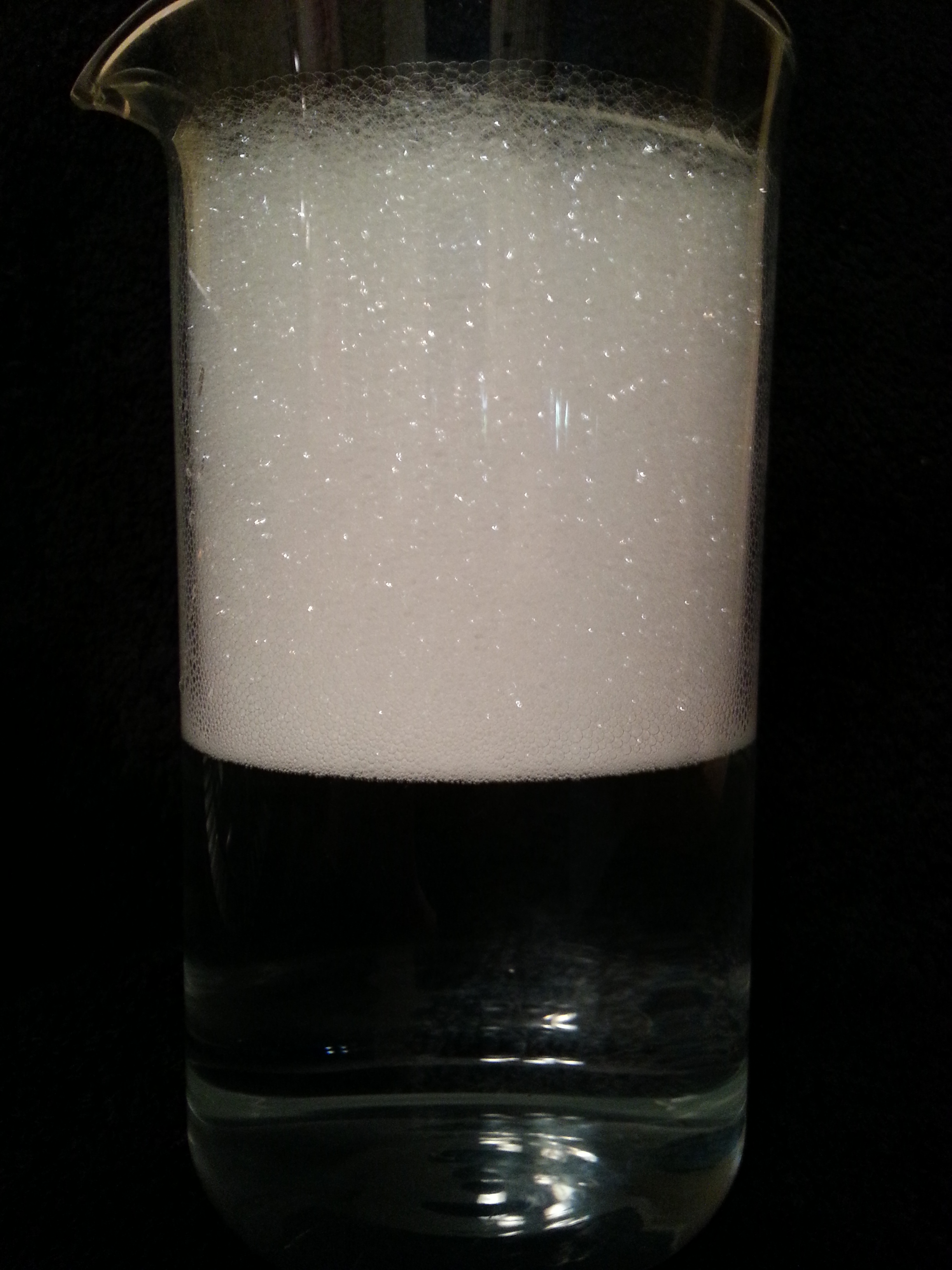 foamy liquid Pics4Learning