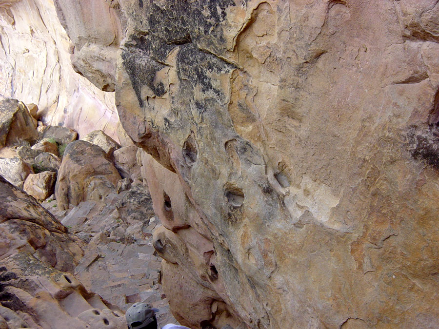 The holes on the side of the path are fingers and toe holds to help people get up and down the mesa.