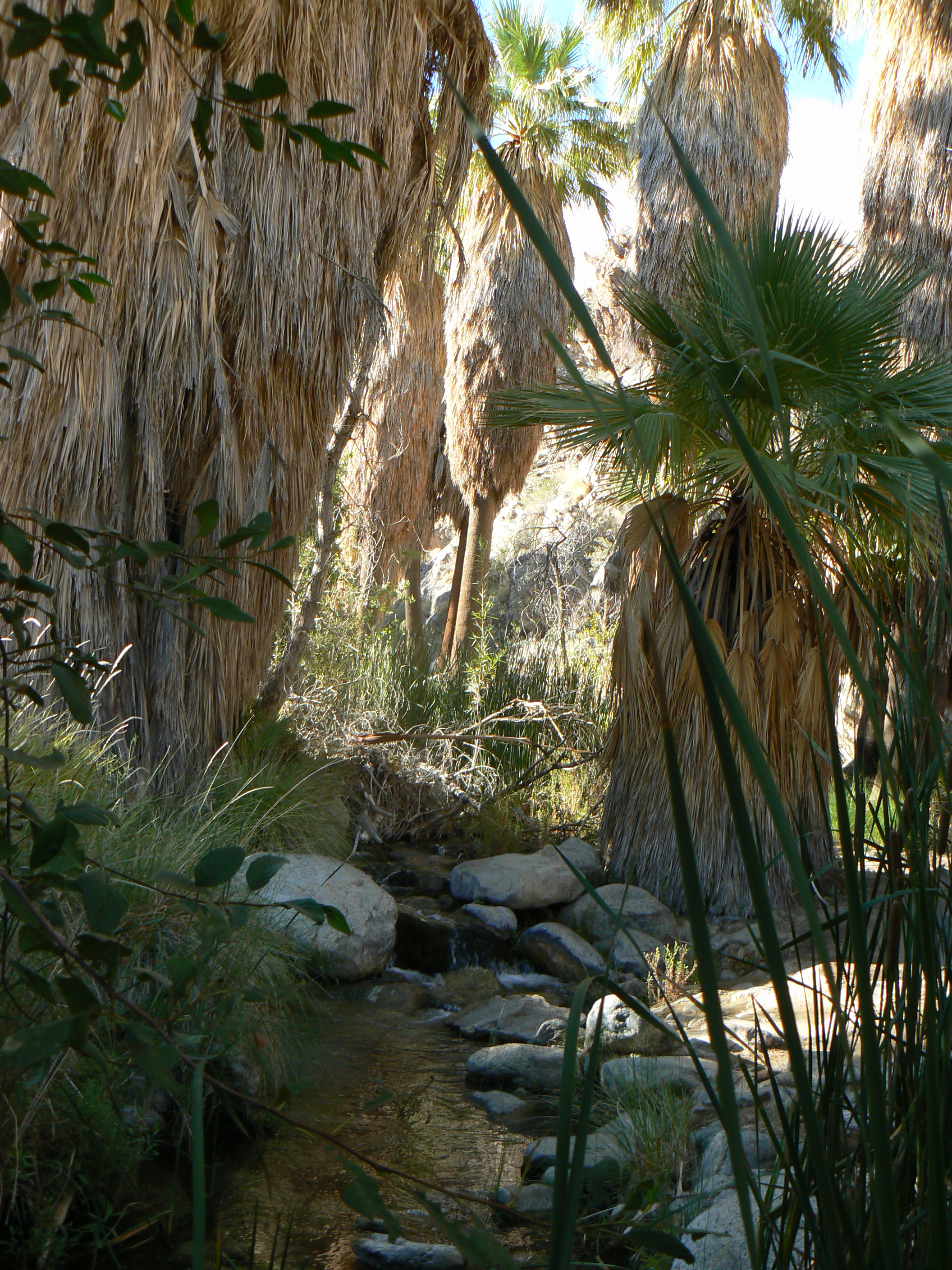 Andreas Creek, Andreas Canyon Pics4Learning