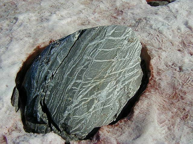 Antarctic rock | Pics4Learning