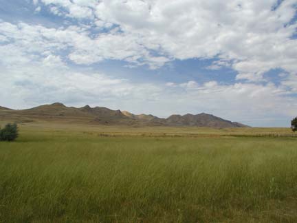 Antelope Island grasslands | Pics4Learning