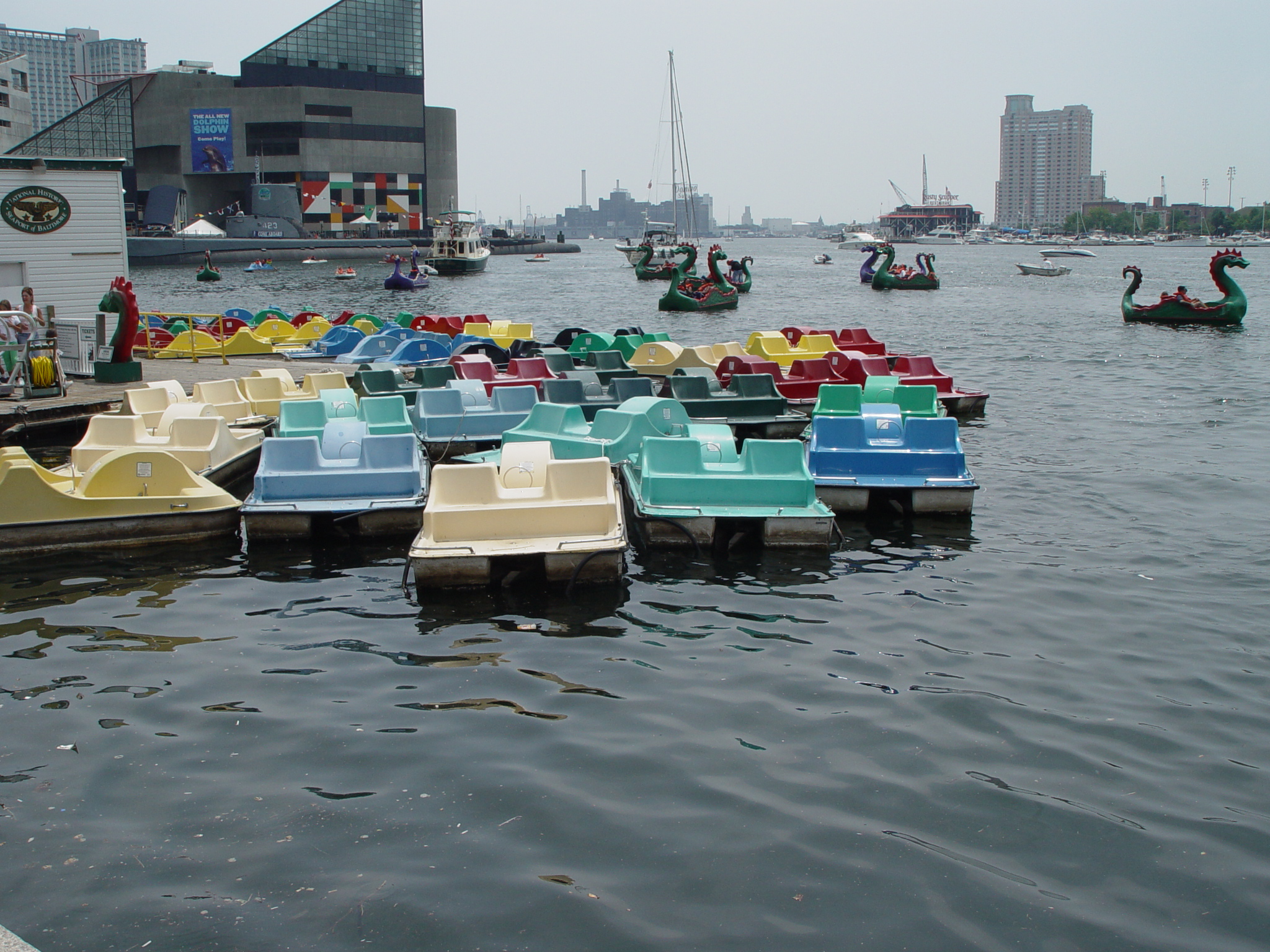 paddle boats Pics4Learning