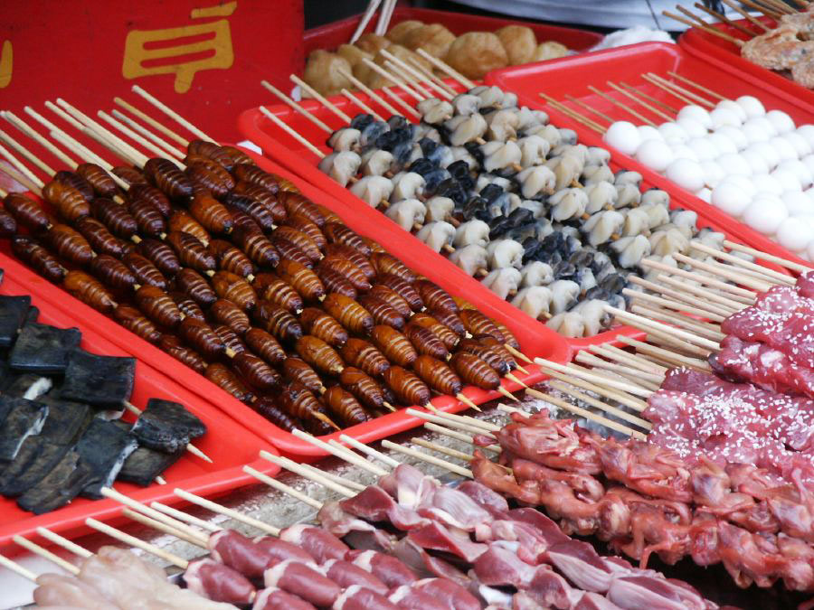 Skewered snacks ready for barbecue, such as grubs, baby birds