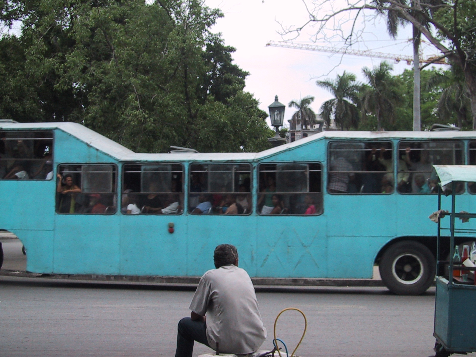 camello.jpg - camello, public bus in Cuba