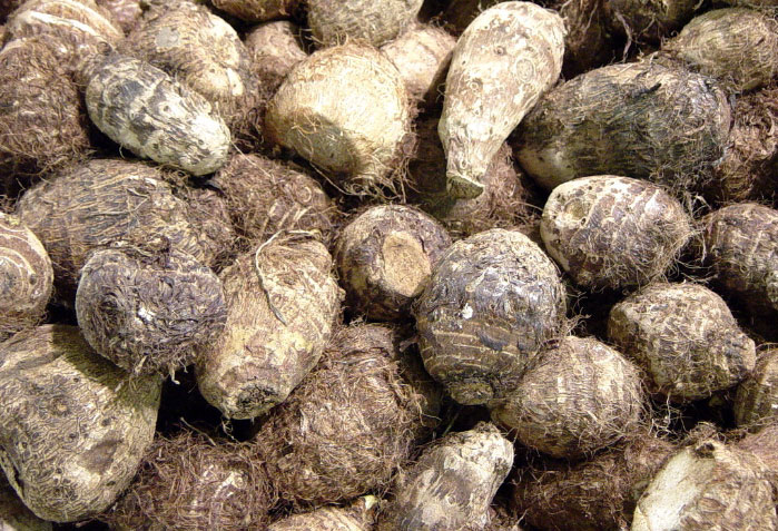 Chinese taro | Pics4Learning