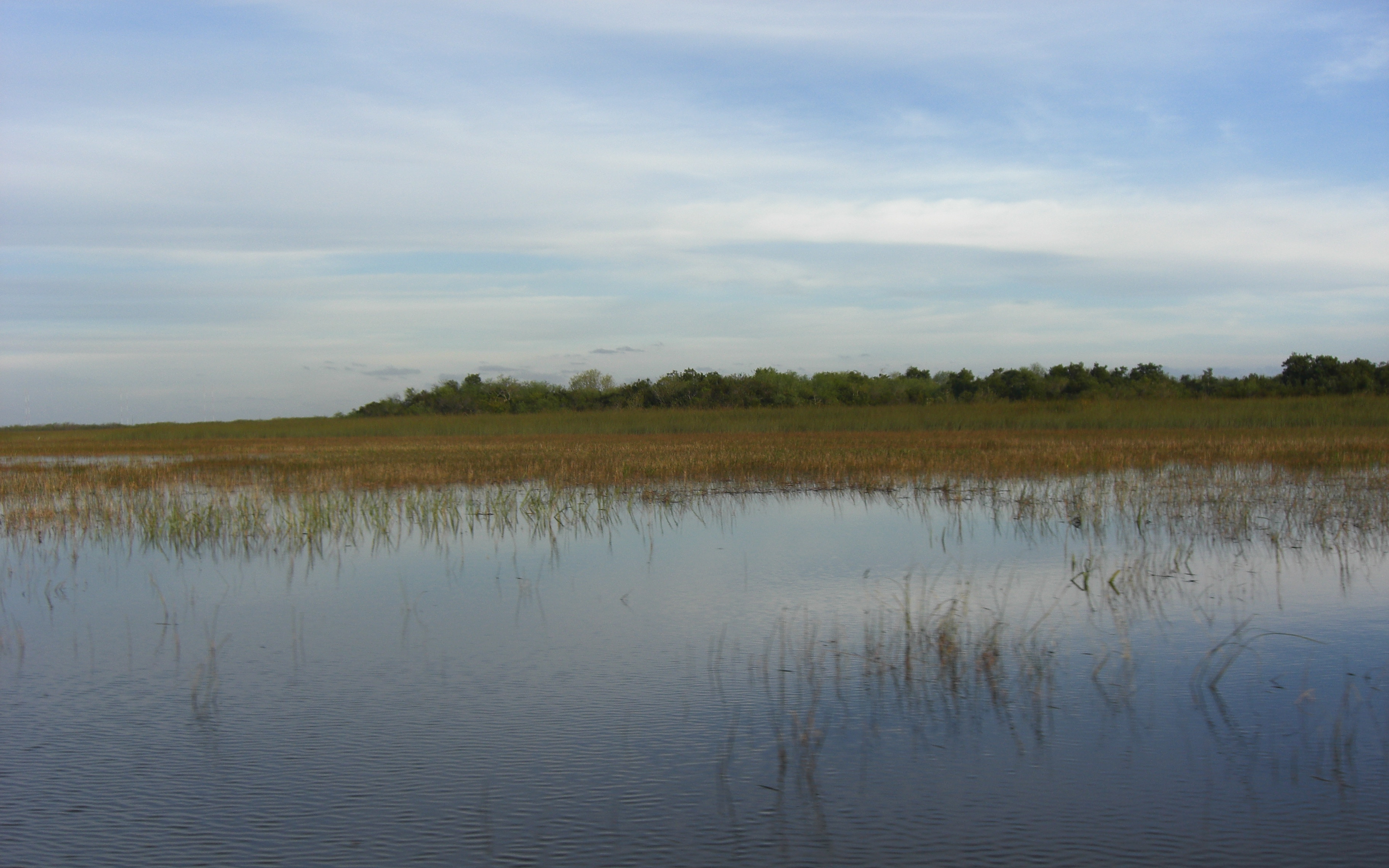 Web gerard soury/getty images (miami) — a shark bit a florida fisherman who was washing his hands off the side of a boat in everglades national park. Everglades National ParkShark Valley Pics4Learning
