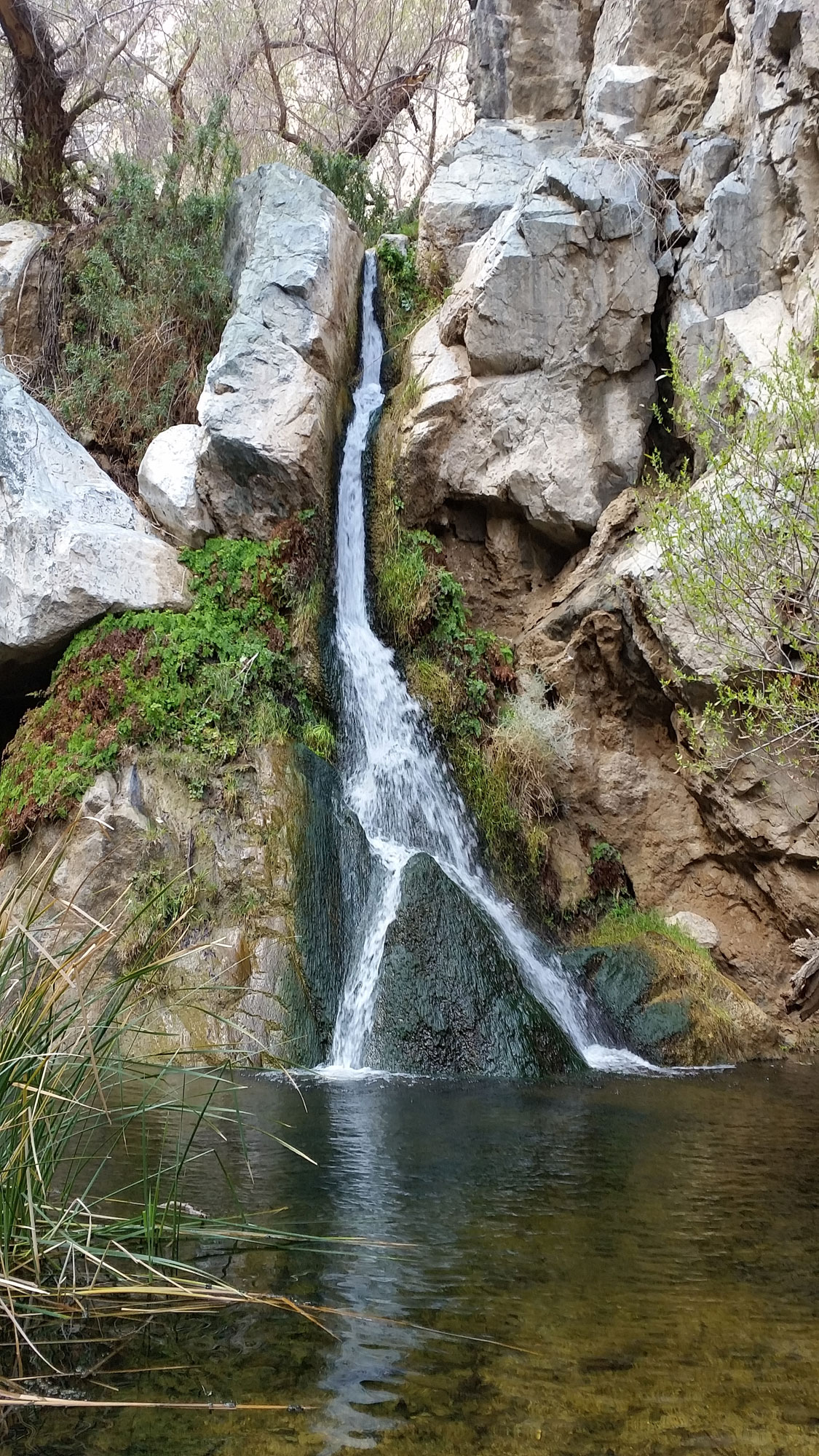 Darwin Falls in Death Valley | Pics4Learning