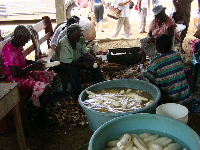 Soaking Cassavas in Dangriga
