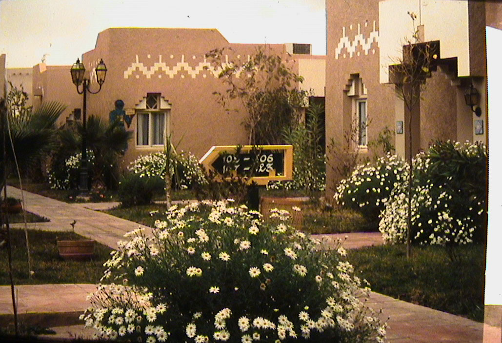 Garden of Berber Palace - hotel