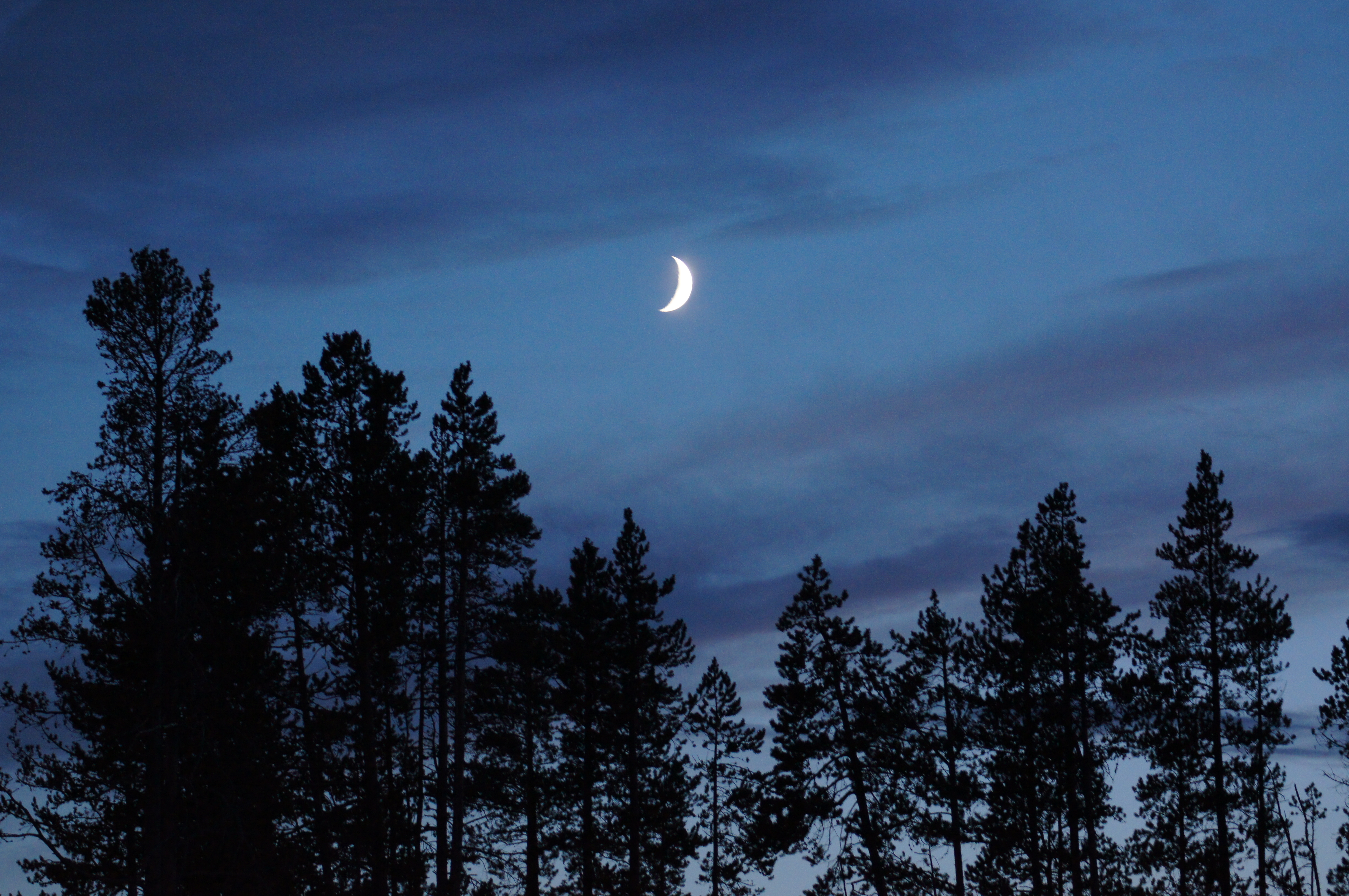 Moon over yellowstone | Pics4Learning