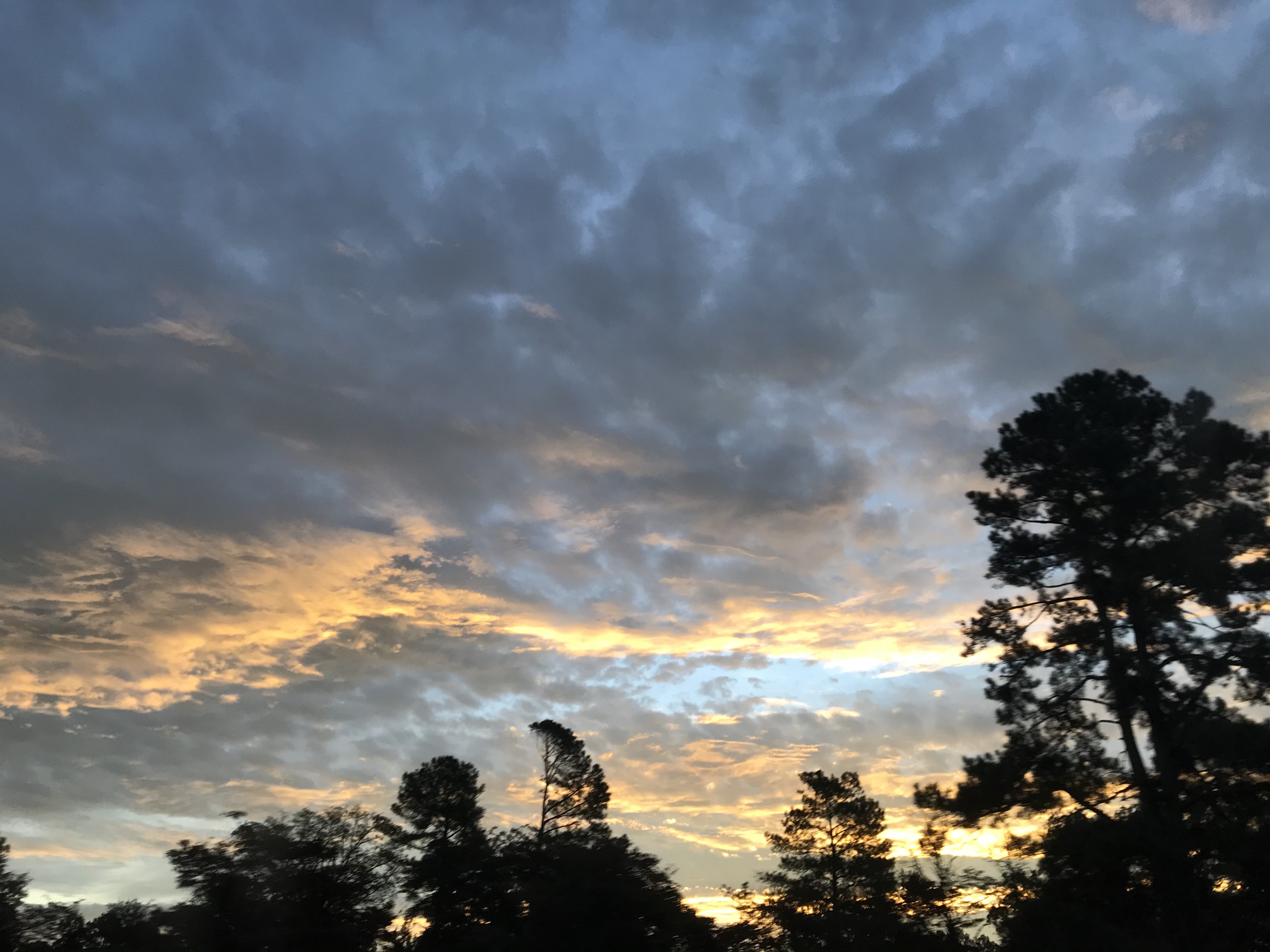 earlymorningskyoverkinston.jpg - beautiful early morning sky