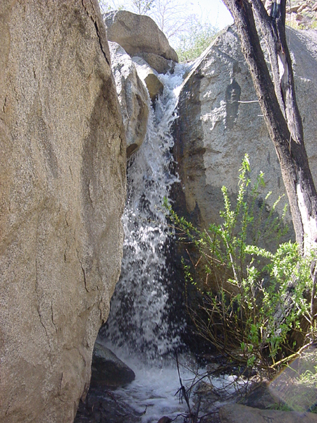 Waterfall At Oasis In Hellhole Canyon 