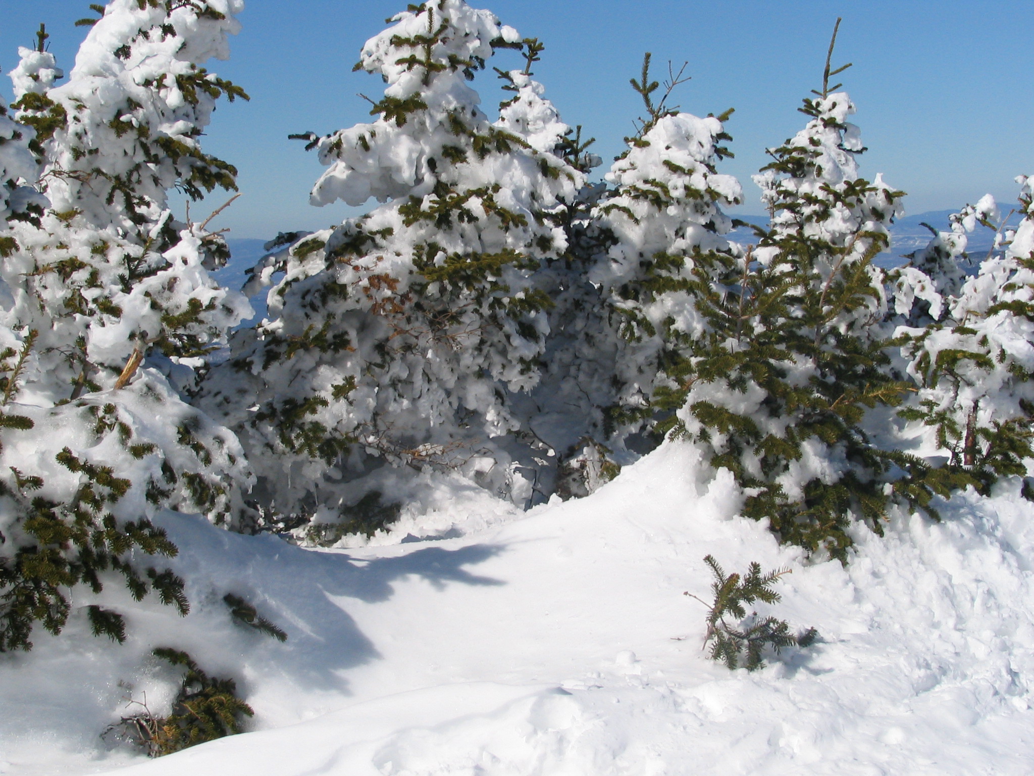A blanket of snow Pics4Learning