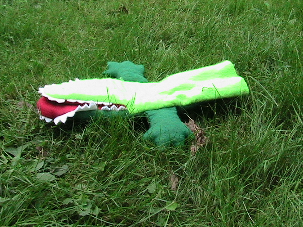 Alligator Puppet | Pics4Learning