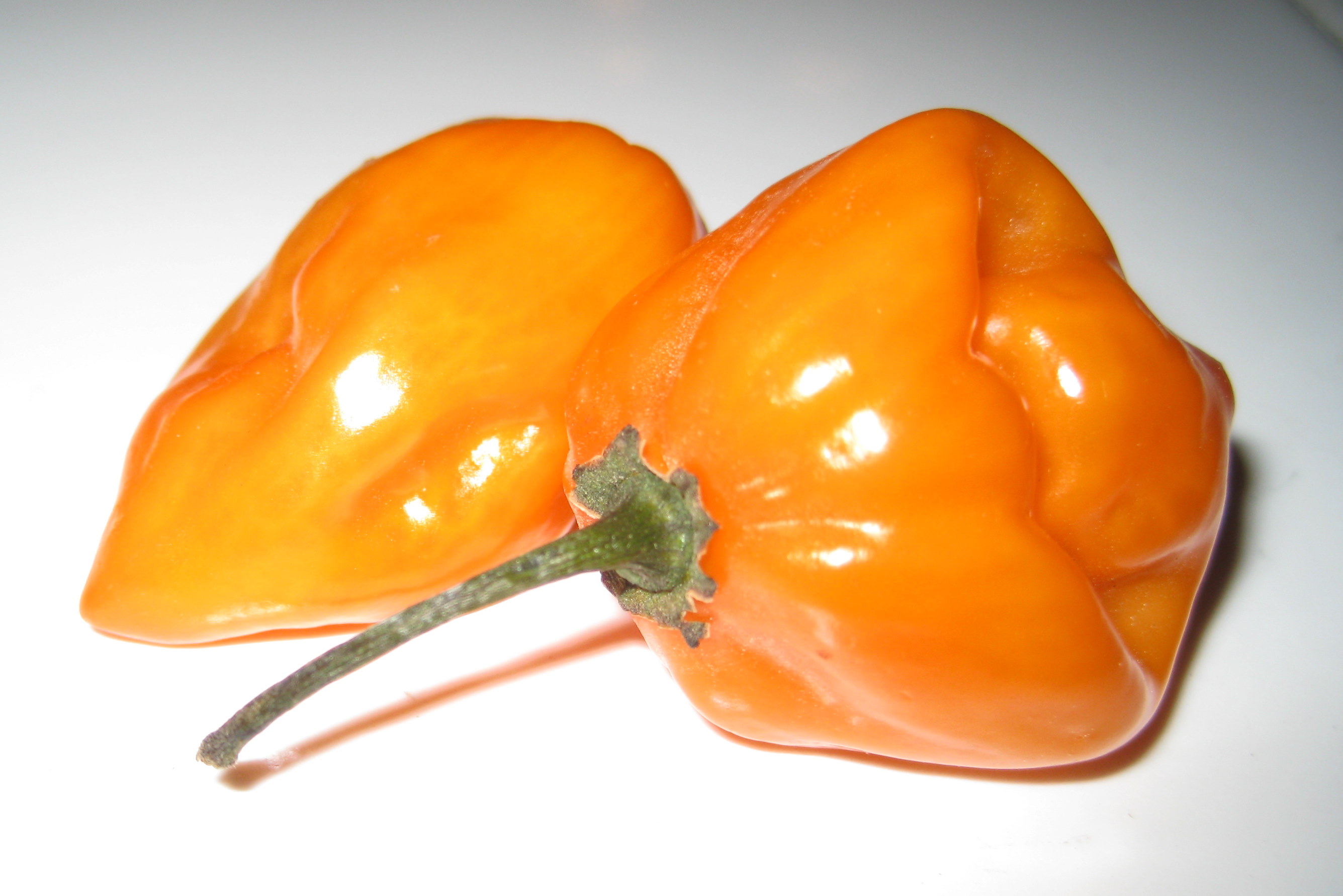Habanero Peppers Pics4Learning