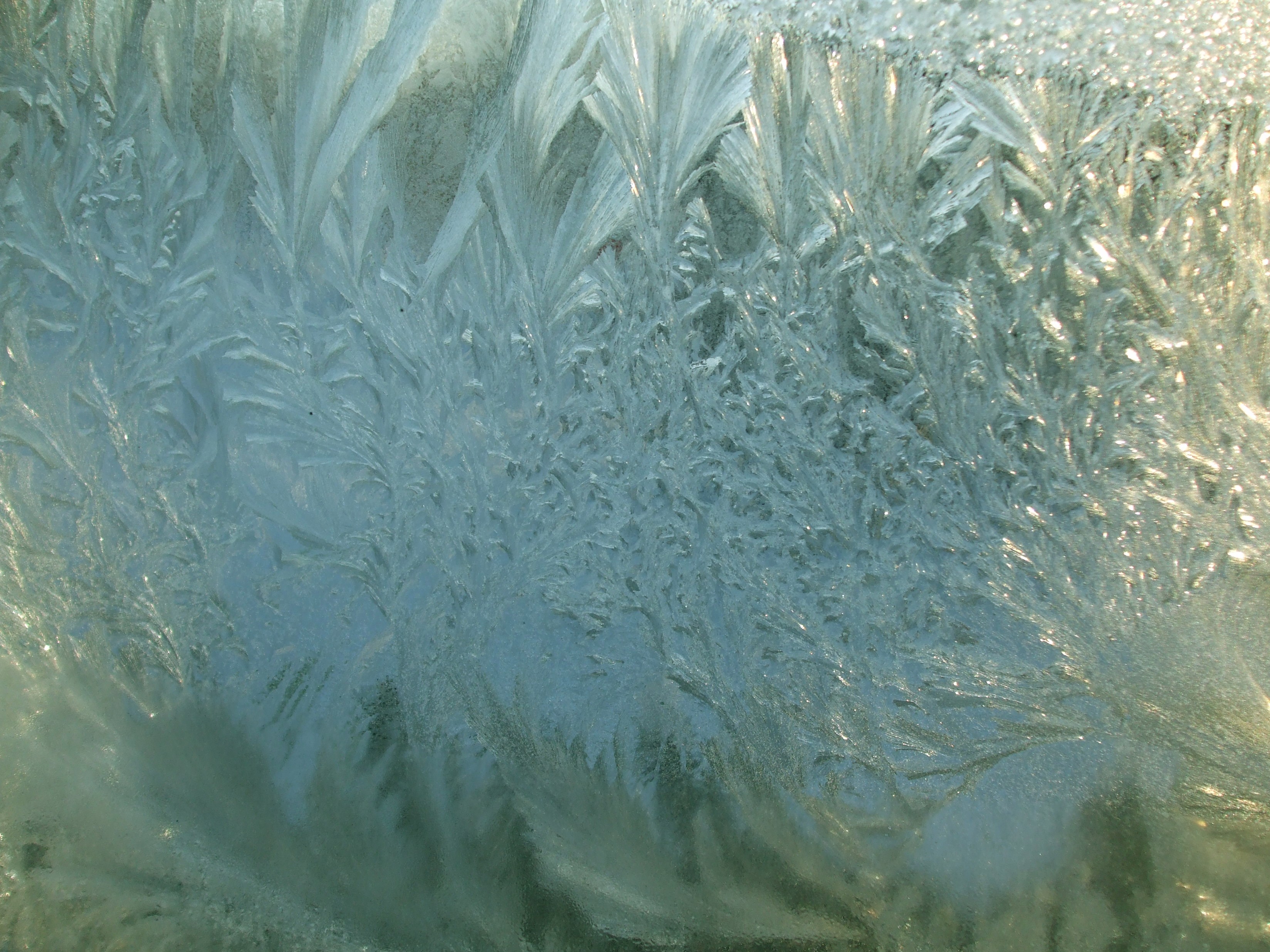 Frosted Window Pane 