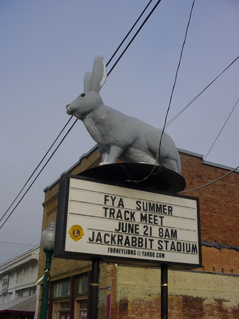 Forney Jackrabbits | Pics4Learning