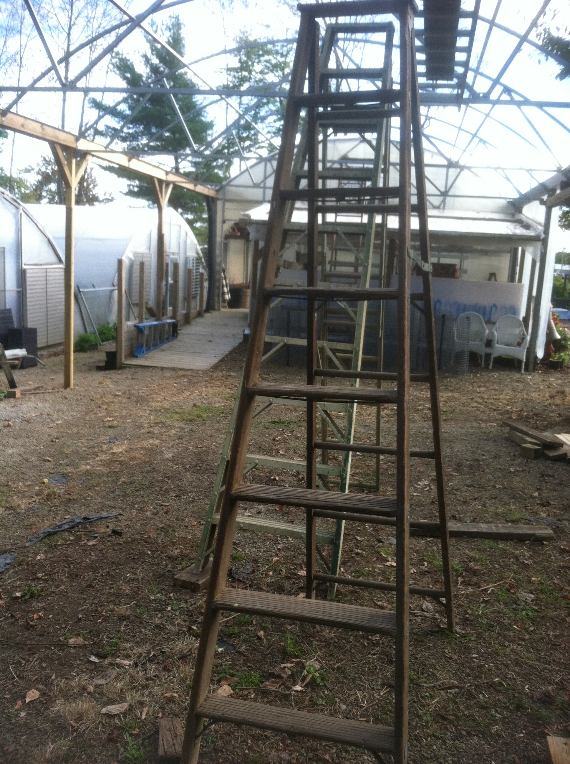 Ladder at greenhouse Pics4Learning