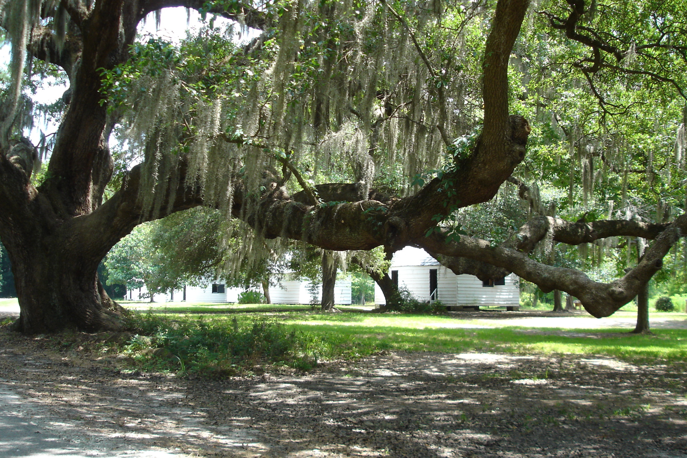 magnolia_plantation_36