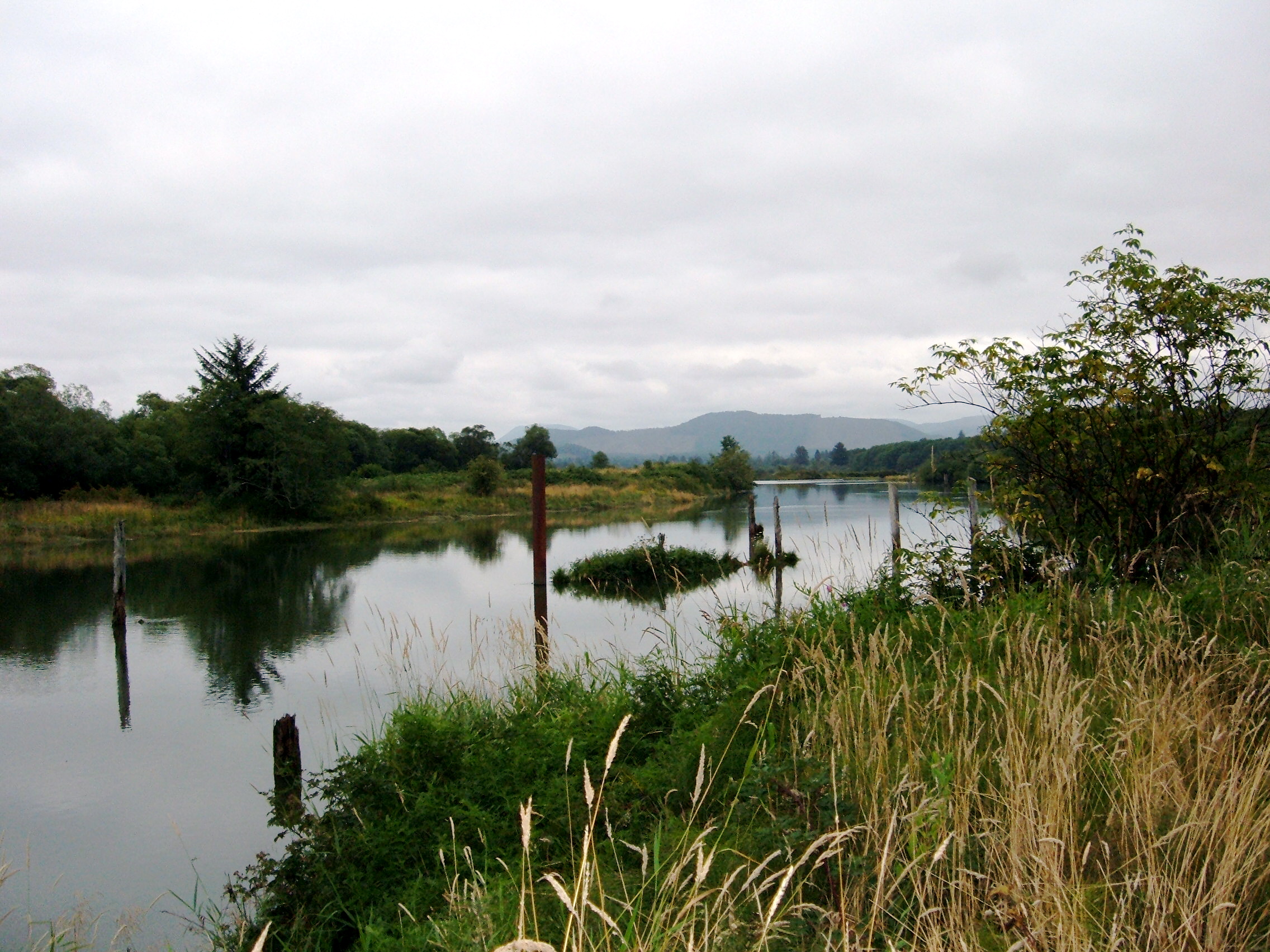 Marsh | Pics4Learning