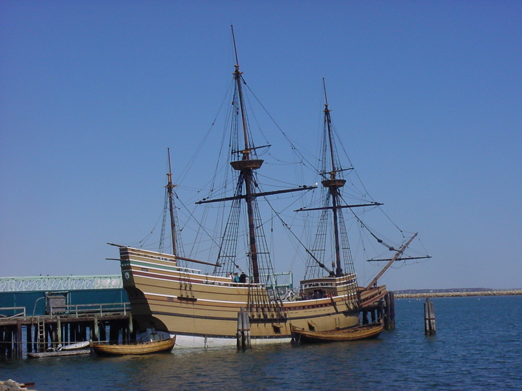 Mayflower перевод. Аврора Мэйфлауэр. Сериал Мэйфлауэр. Mayflower Molly. Mayflower Madame.