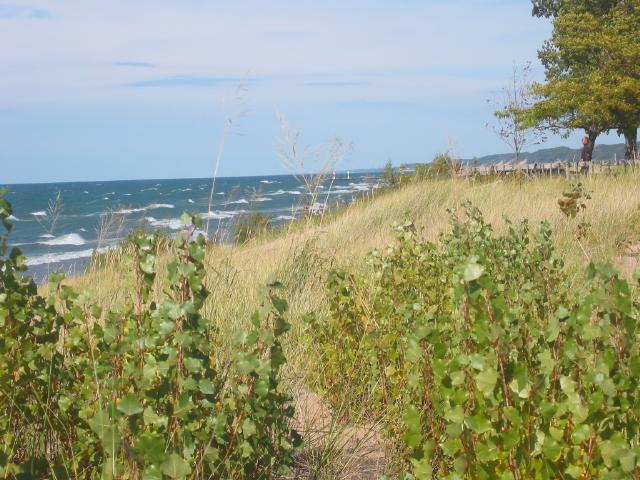 Dunes and Dune Grass on Lake Michigan | Pics4Learning