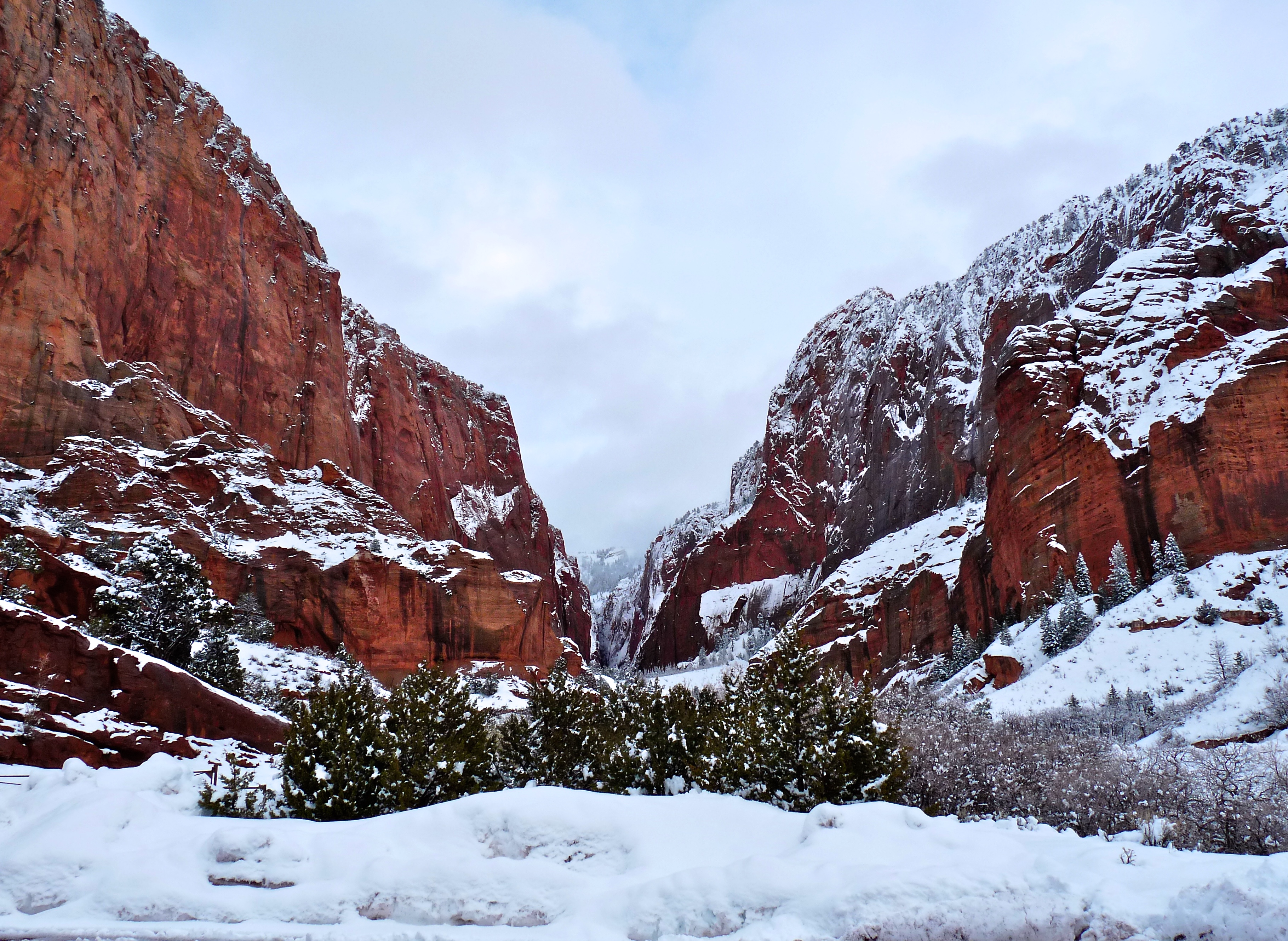 are dogs allowed in kolob canyon