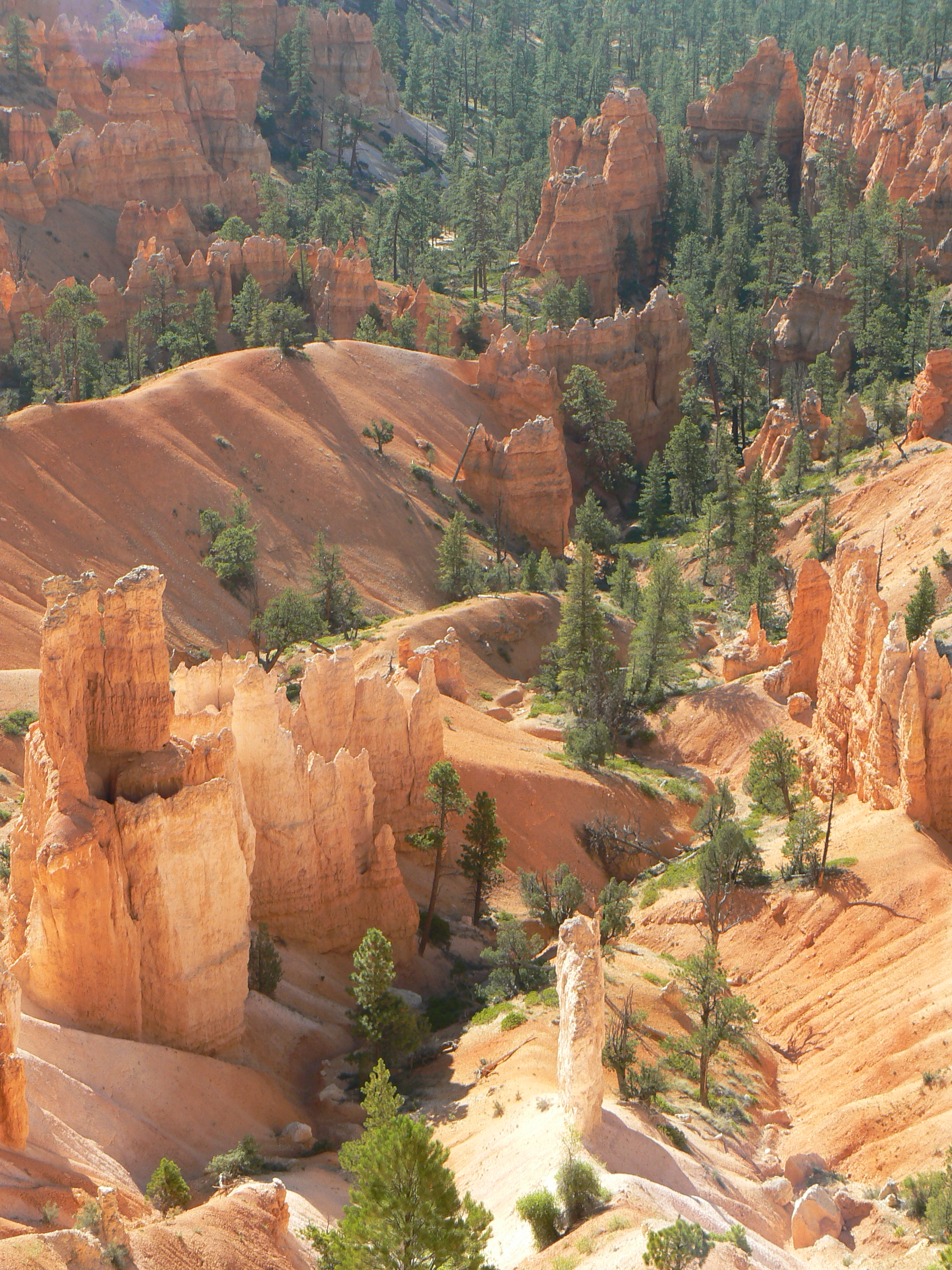 Unique Erosion At Bryce Canyon National Park Pics4learning