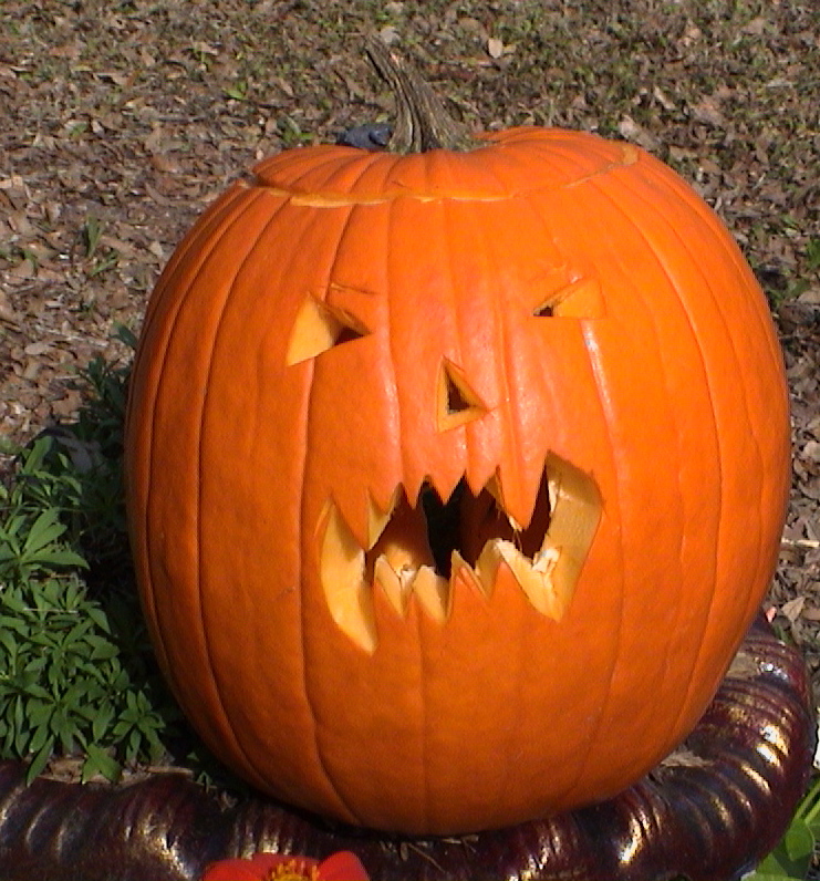 Pumpkin ready for Halloween | Pics4Learning