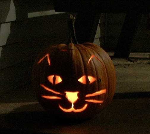 jack-o-lantern kitty | Pics4Learning