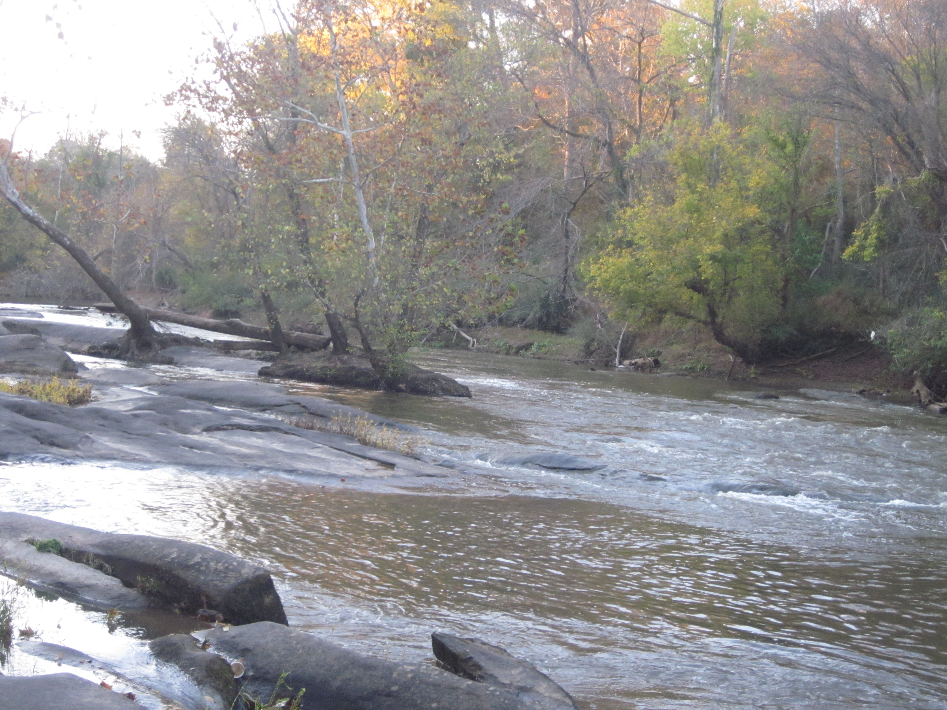 River view with rocks and trees | Pics4Learning