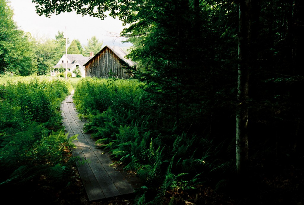 farm-house-views-and-woods-of-the-robert-frost-home-near-derry-new