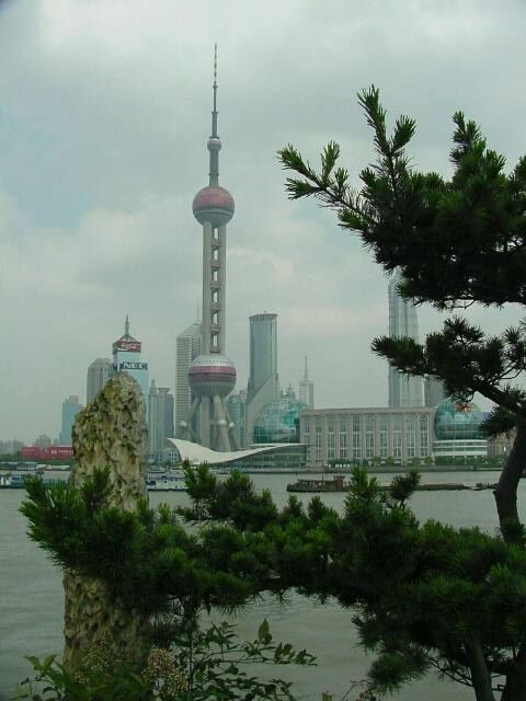 Pudong view with Trees
