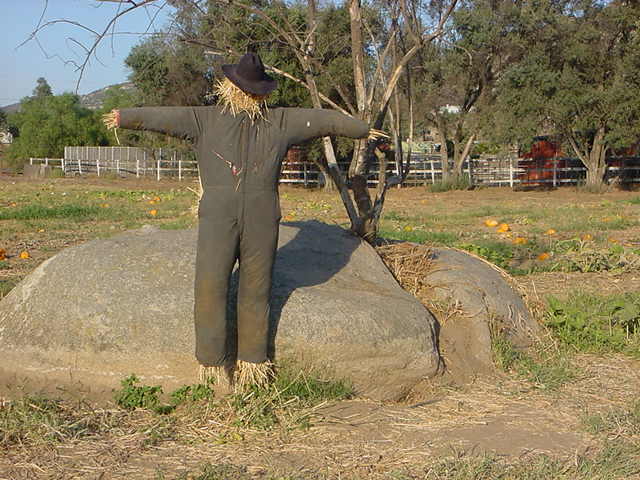 scarecrow